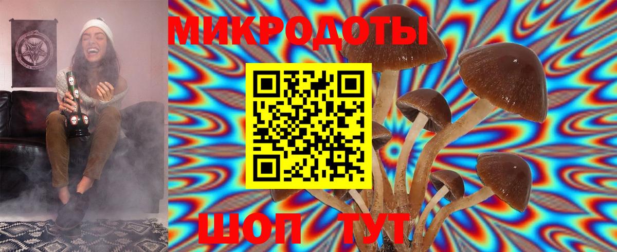 Галлюциногенные грибы Psilocybine cubensis Добрянка