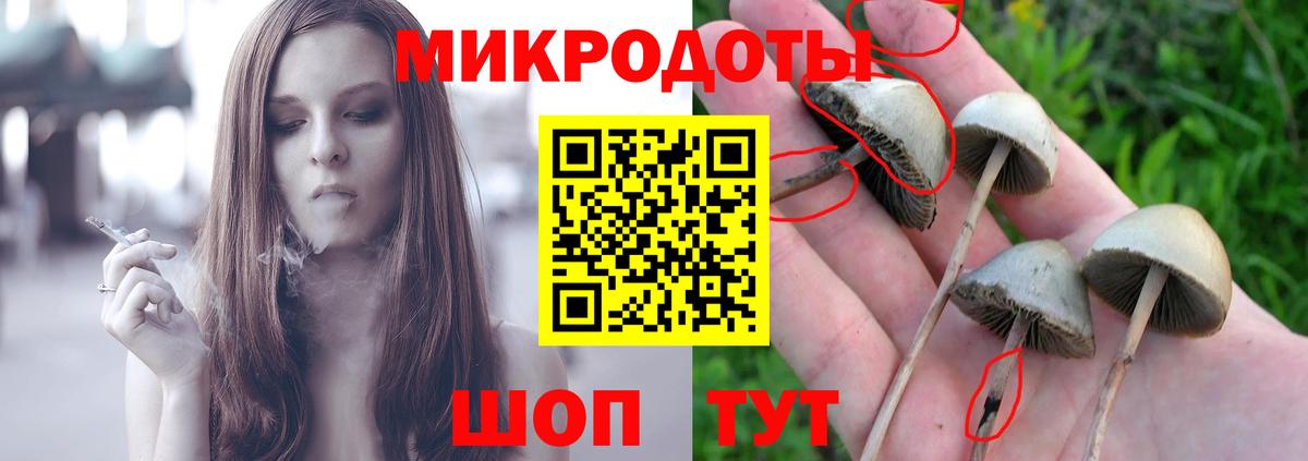 Добрянка  Галлюциногенные грибы ЛСД  Вход с VPN 